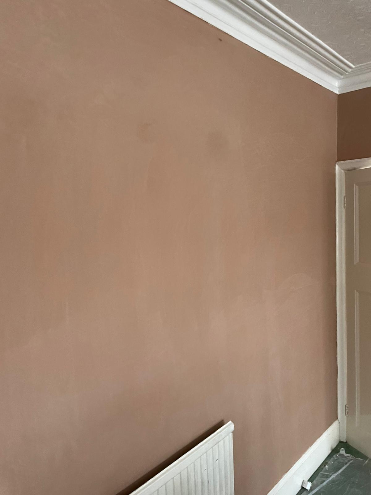 Plastering Wanstead